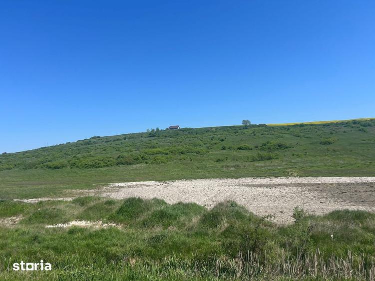 Teren de 15000 mp, în Miroslava