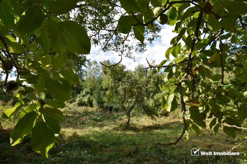 Casă individuală cu 2 camere cu Teren 1547 Mp în Gheorghieni