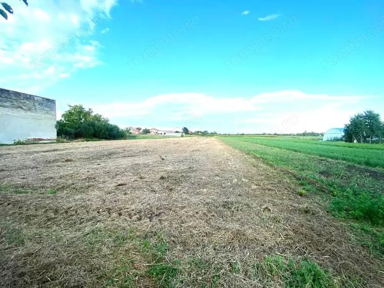 Teren de 4332 mp, în Boldur