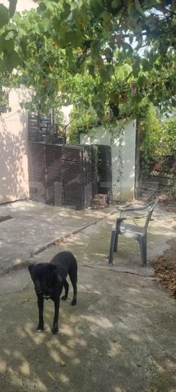 Casă individuală cu 2 camere cu Teren 322 Mp în Câmpia Turzii