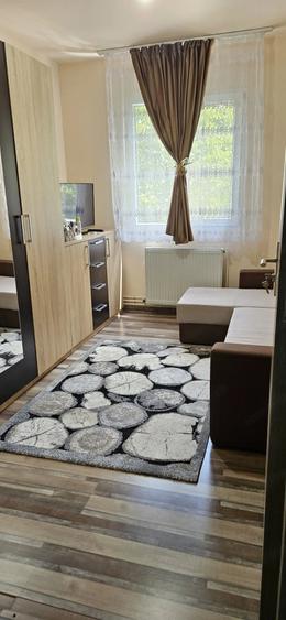 Apartament 3 camere, Zona Circumvalatiunii, Etaj 2, Mobilat si Utilat complet - 7