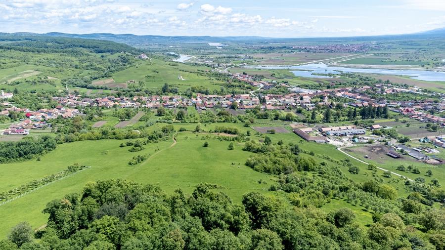Teren agricol extravilan de 500 mp, în Bradu