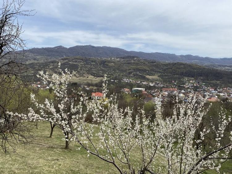 Teren de 22000 mp, în Corbi