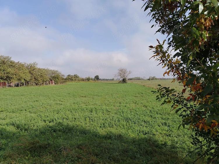 Teren 2.600 mp - deschidere 35m-intrare Pogoanele dinspre Buzau - 5