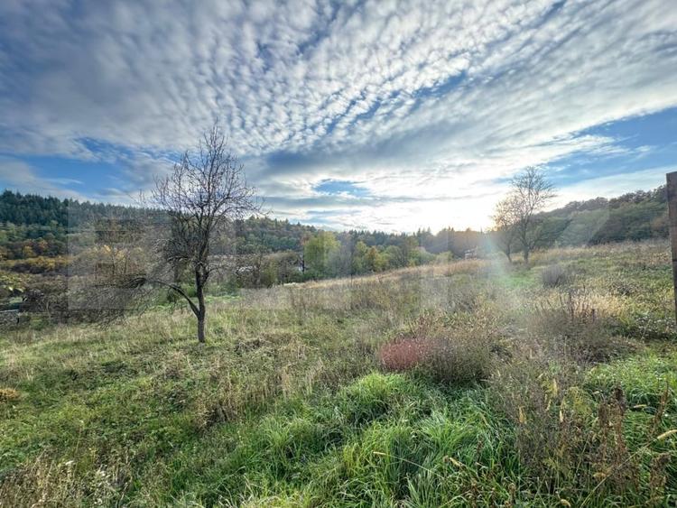 Teren Construcții intravilan de 1466 mp, în Bejan