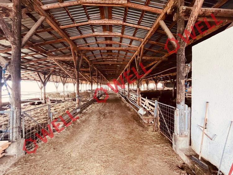 Teren agricol intravilan de 22 mp, în Zoltan