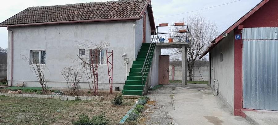 Casa sat pluta com Butoiesti - 8