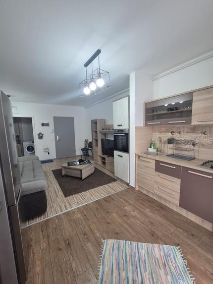 Apartament Studio de inchiriat Avangarden Bartolomeu - 8