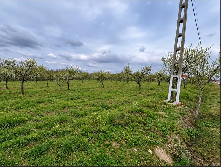 Teren Construcții intravilan de 8200 mp, în Ceretu