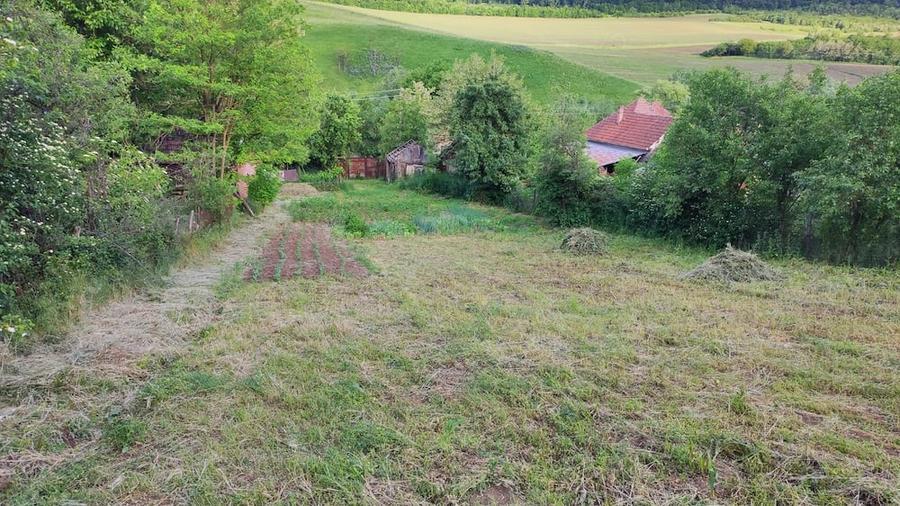 Teren de 2160 mp, în Șpring