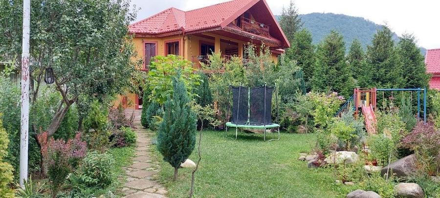 Vand Casa Vacanta Lepsa Vrancea - 6