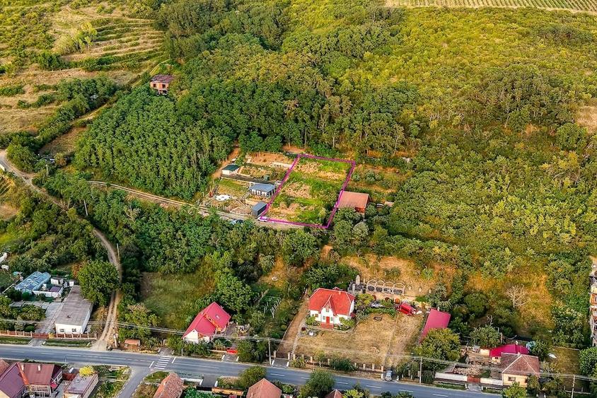 Teren de 1150 mp, în Miniș