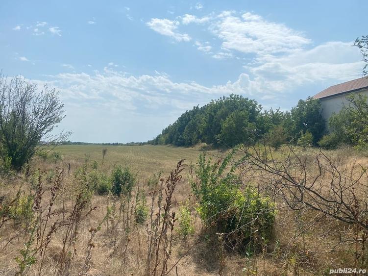 Teren de 12600 mp, în Frumușani