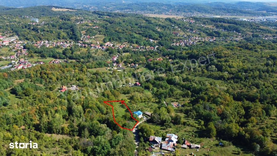 Casă cu 3 camere cu Teren 4391 Mp în Valea Danului