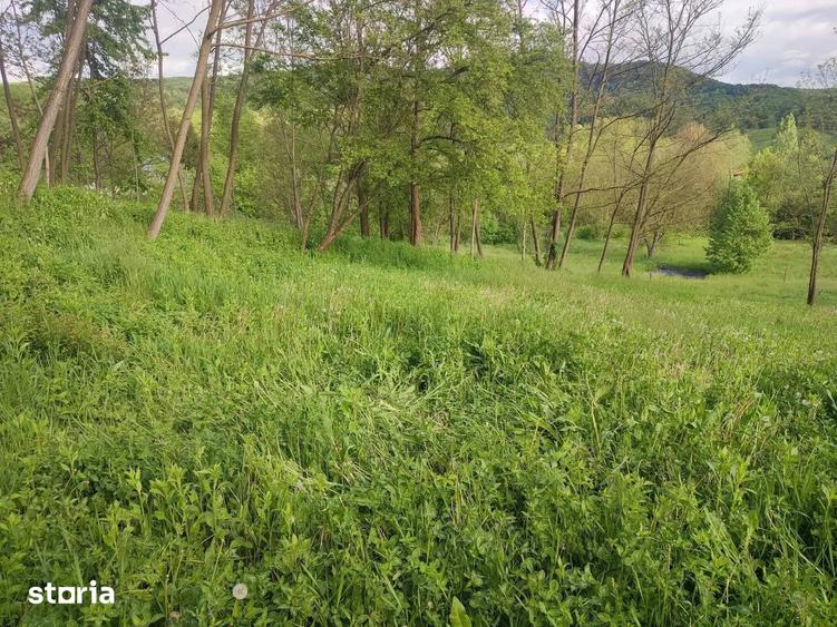 Teren de 1400 mp, în Vișinești