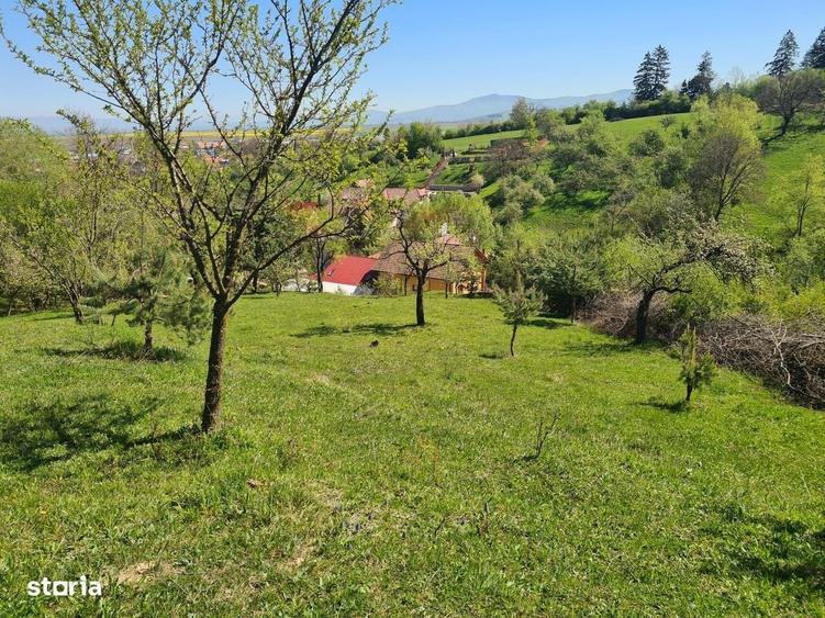 Spațiu comercial, în Poiana Angelescu