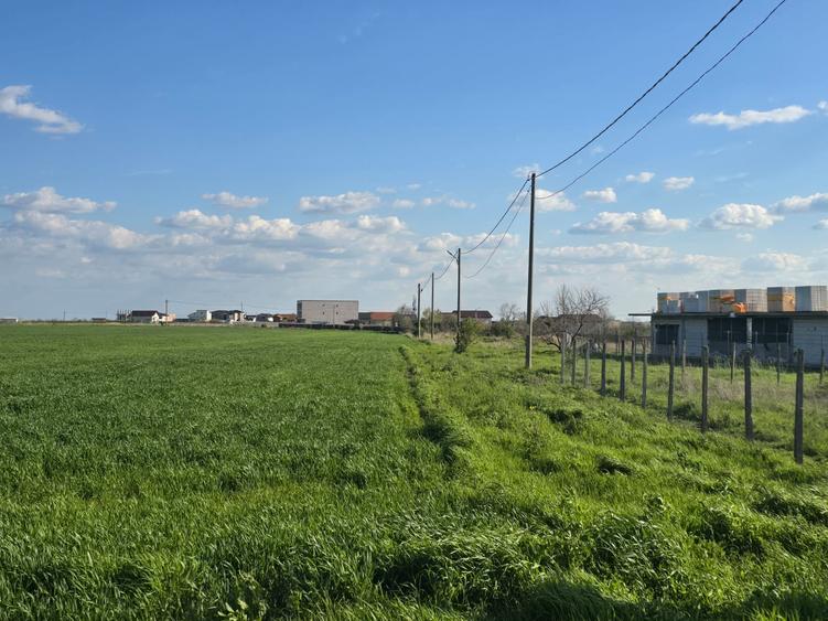Teren Construcții intravilan de 4000 mp, în Tuzla