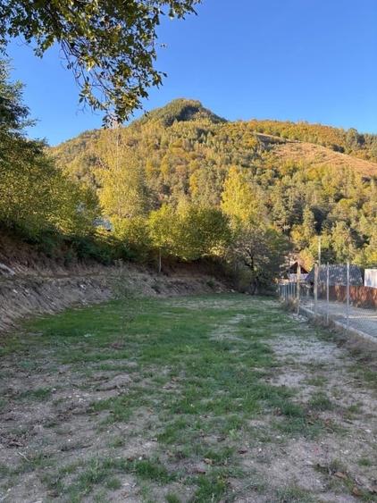 Teren Construcții intravilan de 800 mp, în Râu Sadului