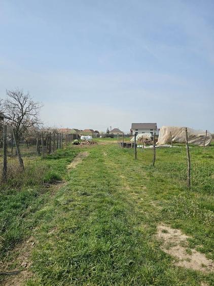 Teren Construcții intravilan de 950 mp, în Nojorid