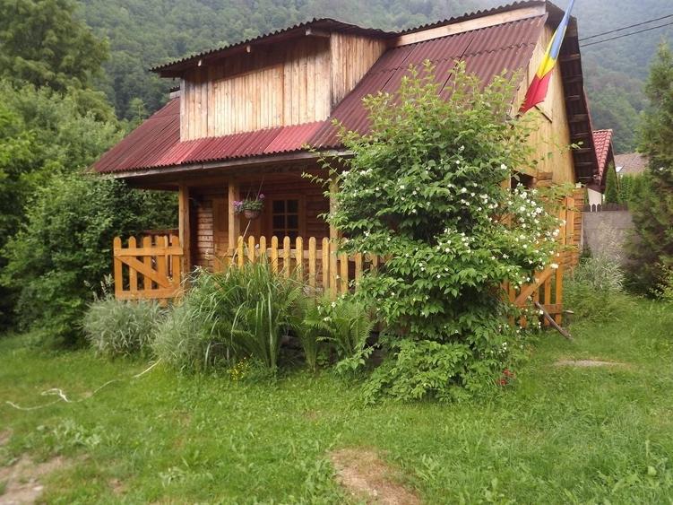 Casă în Clopotiva