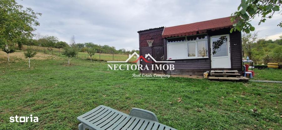 Teren de 1300 mp, în Podgoria