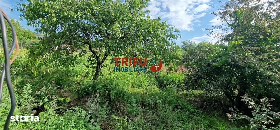 Casă cu 3 camere cu Teren 1252 Mp în Ighiu