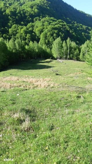 Teren de 46383 mp, în Siriu