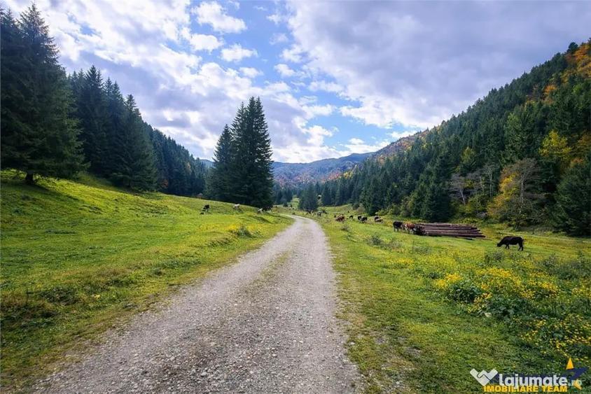 Teren în Zărnești