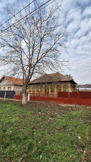 Casă individuală cu 3 camere cu Teren 1000 Mp în Teremia Mare