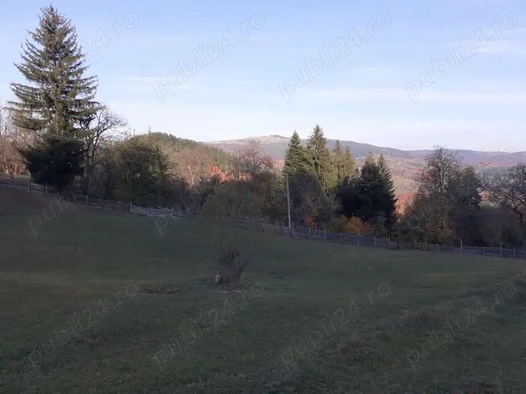 Teren de 13700 mp, în Nereju
