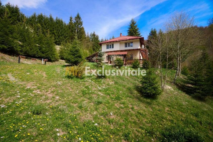 Casă cu 5 camere cu Teren 6412 Mp în Dâmbovicioara