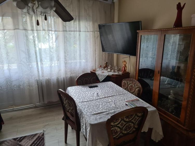 Ofer gazda in Cantemir - 1