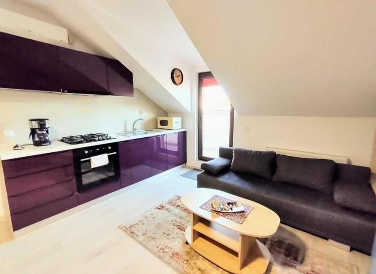 Apartament cu 2 camere decomandat în Frumoasa