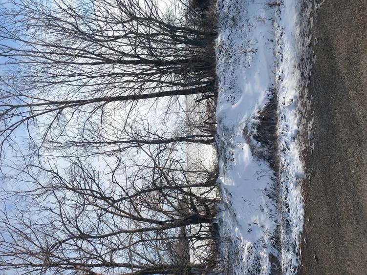 Teren de 2400 mp, în Oporelu