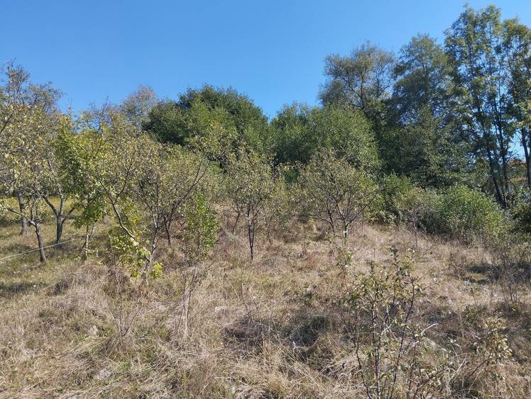 Teren de 4630 mp, în Becaș