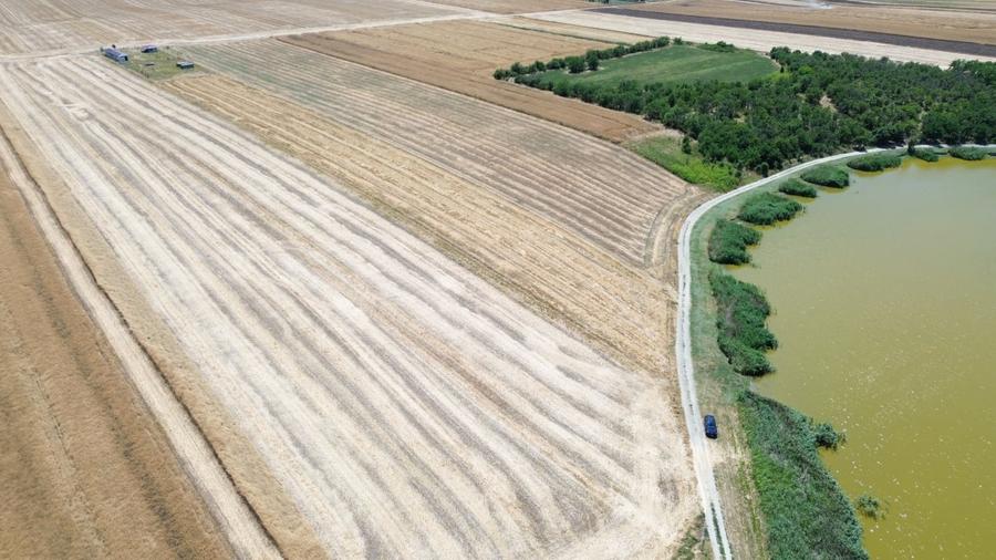 Teren Construcții extravilan de 6500 mp, în Frumușani