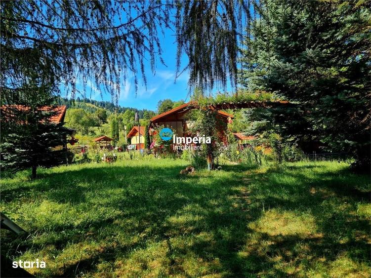 Campulung Moldovenesc, zona Cucoara | 4.544 mp teren | 2 casute locuib - 11