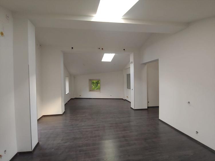 Spațiu comercial, de 300 mp, în Dacia