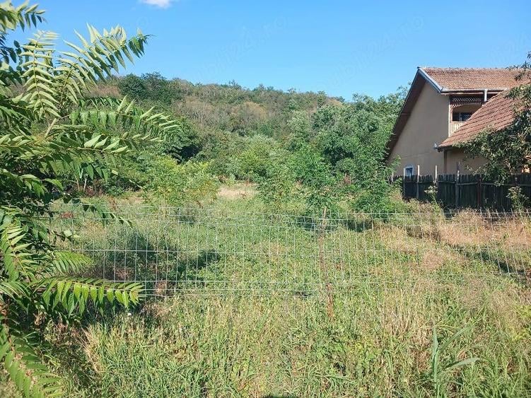 Teren de 1800 mp, în Cernătești