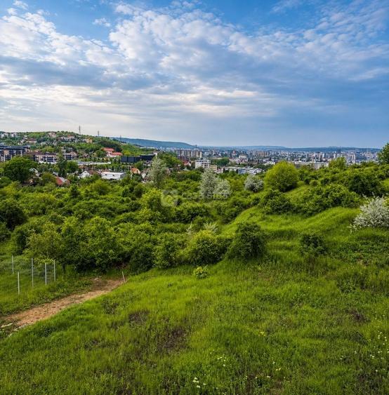 Teren Construcții intravilan de 500 mp, în Bucium
