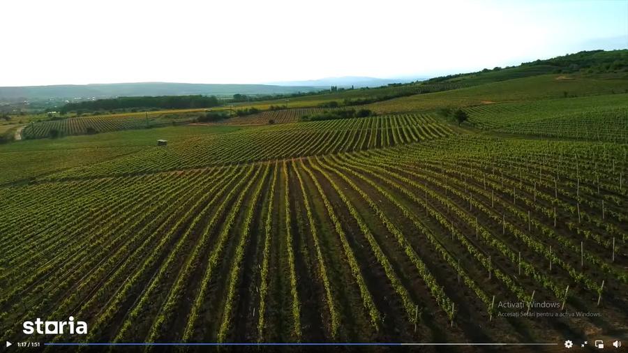Teren de 153900 mp, în Boldești