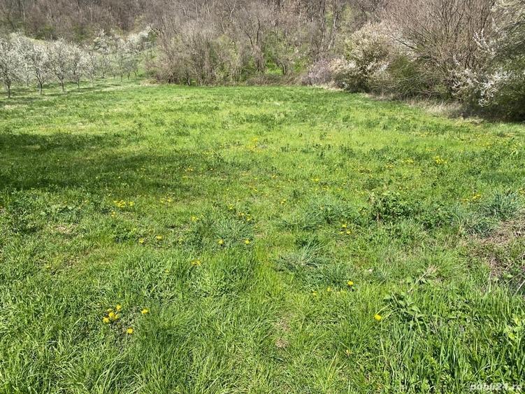 Teren de 4850 mp, în Liborajdea
