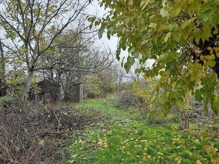Teren de 2024 mp, în Comani