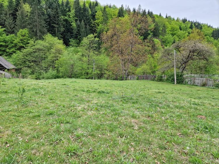 Teren Construcții intravilan de 2936 mp, în Bistrița