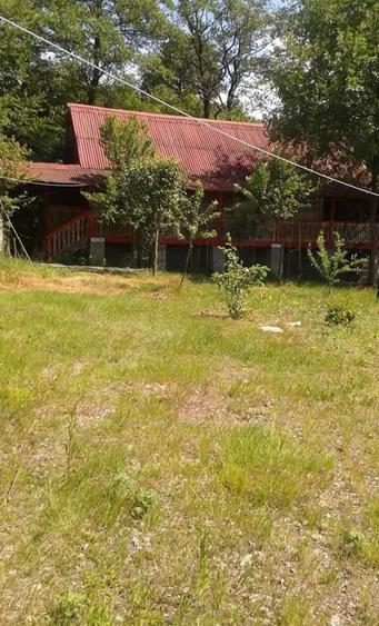 Teren de 80000 mp, în Susani