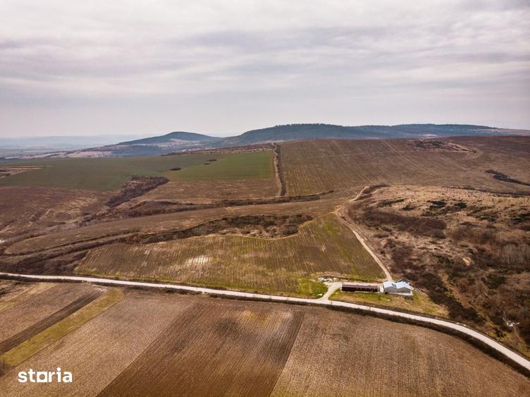 Teren de 115 mp, în Târnova