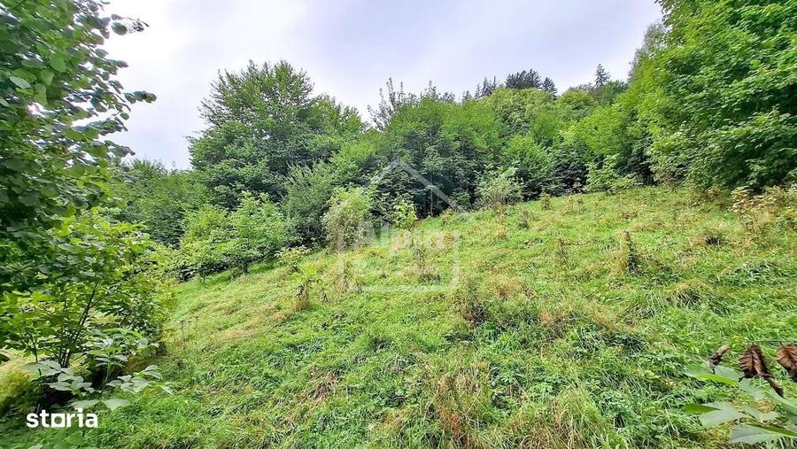 Teren Intravilan Schei Priveliste I Oportunitate Investitie - 11