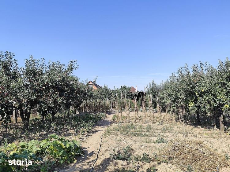 Casa la tara in Sacadat, Bihor, teren 2826 mp, acces auto - Vanzare - 17