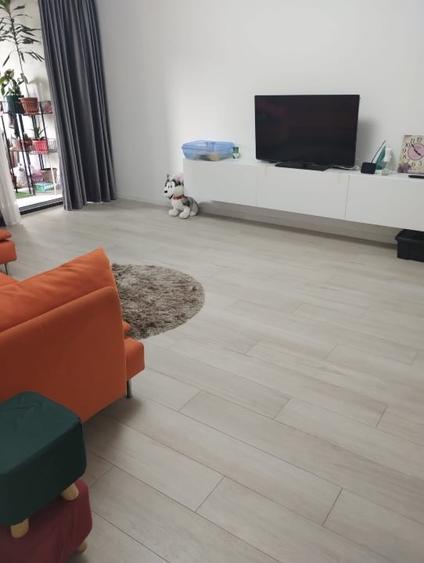 Apartament cu 2 camere, mobilat în Theodor Pallady