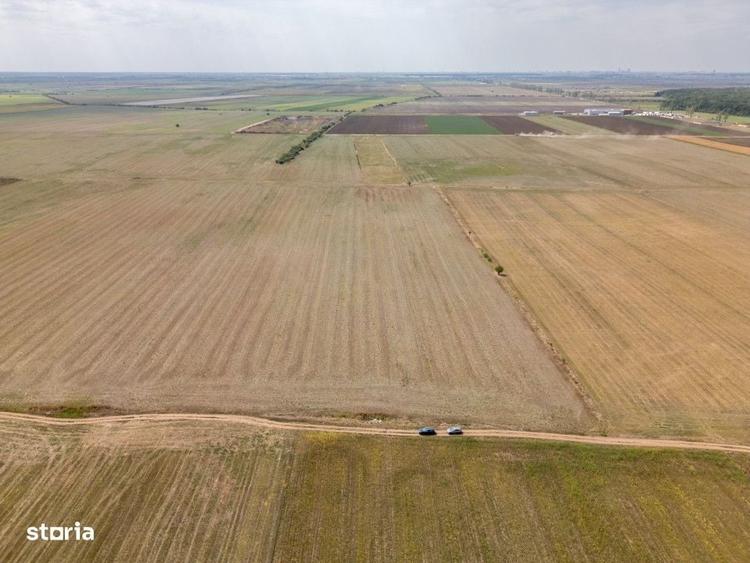 Dascalu - Teren Intravilan 7500 Mp, Investitie! - 7